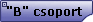 "B" csoport 