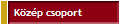 Kzp csoport